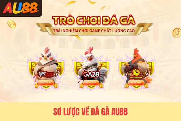Sơ lược về đá gà Au88
