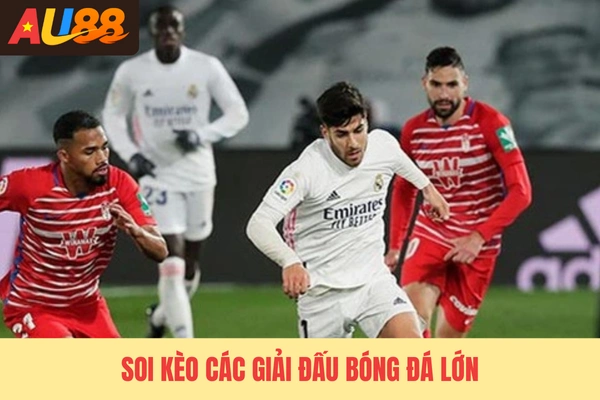 Soi kèo các giải đấu bóng đá lớn